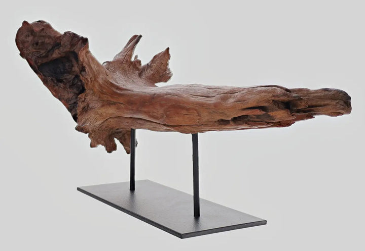 Driftwood Large Sculpture