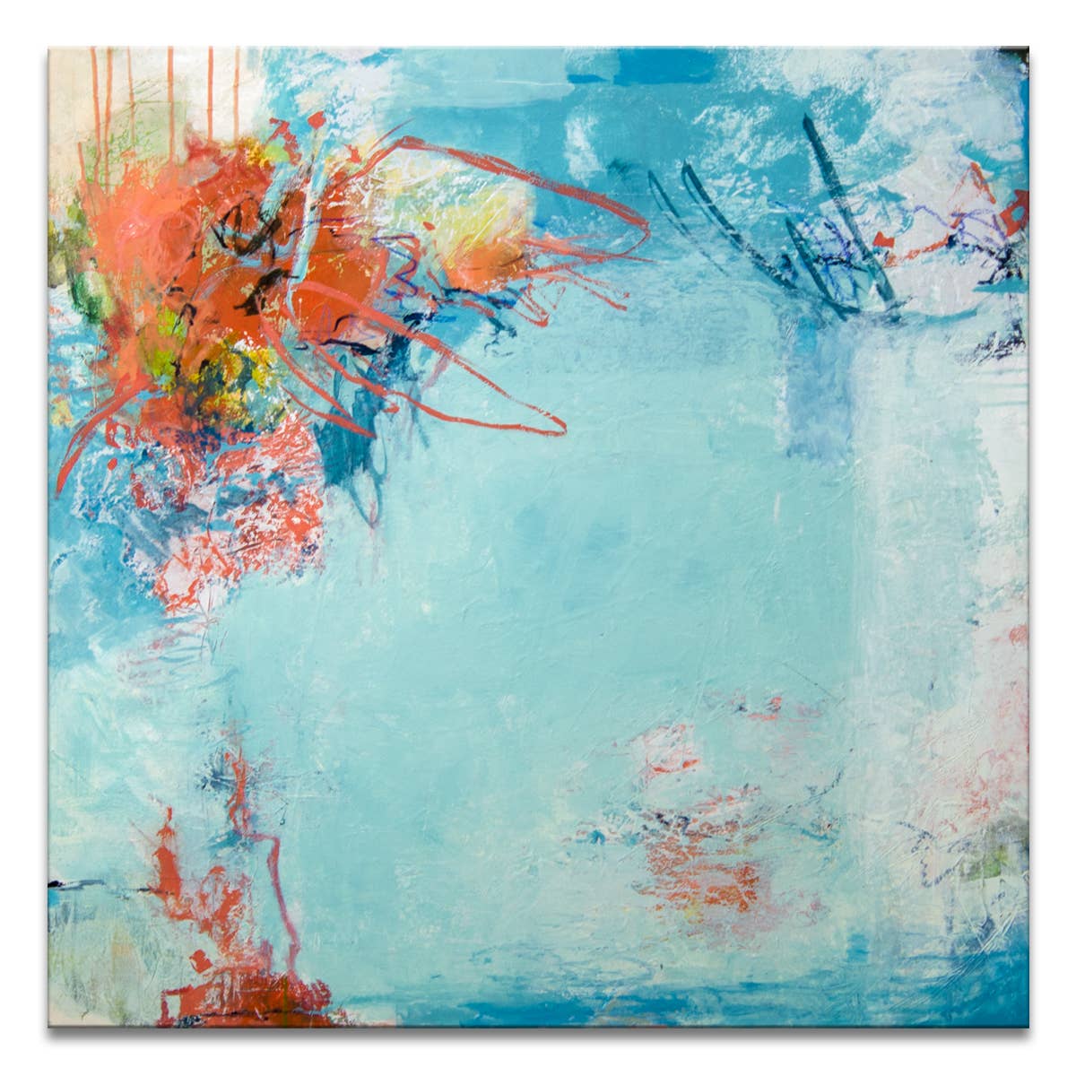 ‘Coral Anemone' Wrapped Canvas Wall Art