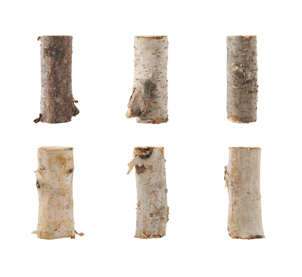 Birch Branch Pieces