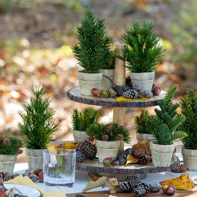 Wood Tiered Server