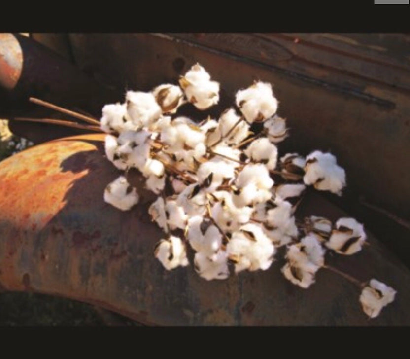 Holiday Dining Sale Copper Barn Home